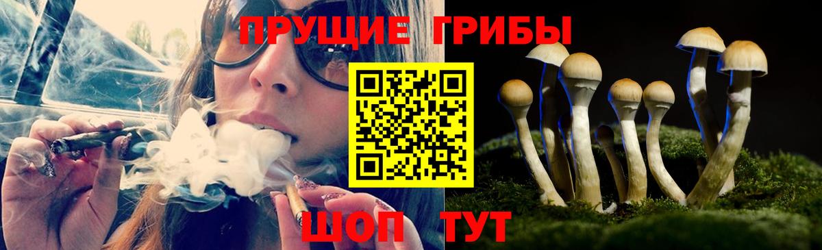 Псилоцибиновые грибы прущие грибы  Вход с VPN  Шахты 